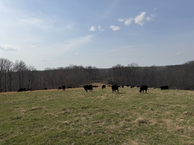 5 N Lick Creek Rd, Franklin, TN 37064