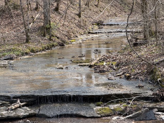 5 N Lick Creek Rd, Franklin, TN 37064