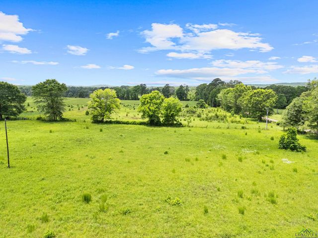 1383 Bailey Cutoff, Marshall, TX 75670