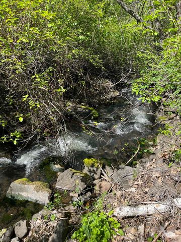 545 Getta Creek Rd, Cottonwood, ID 83522