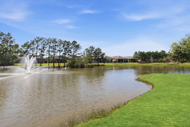 207 Arabian Drive, The Woodlands, TX 77382