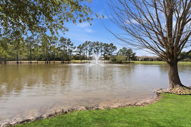 207 Arabian Drive, The Woodlands, TX 77382