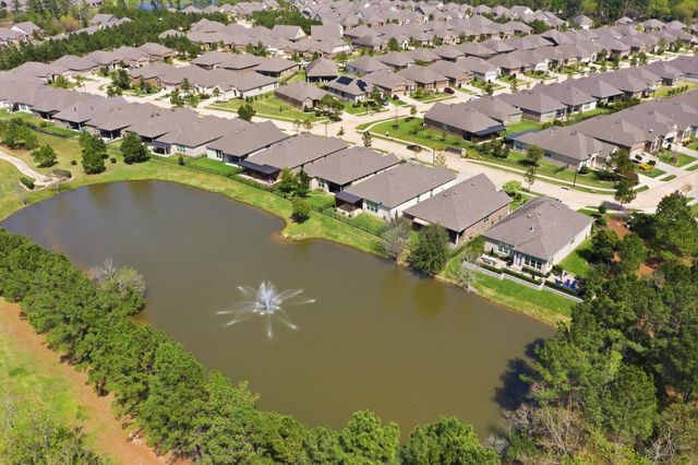 207 Arabian Drive, The Woodlands, TX 77382