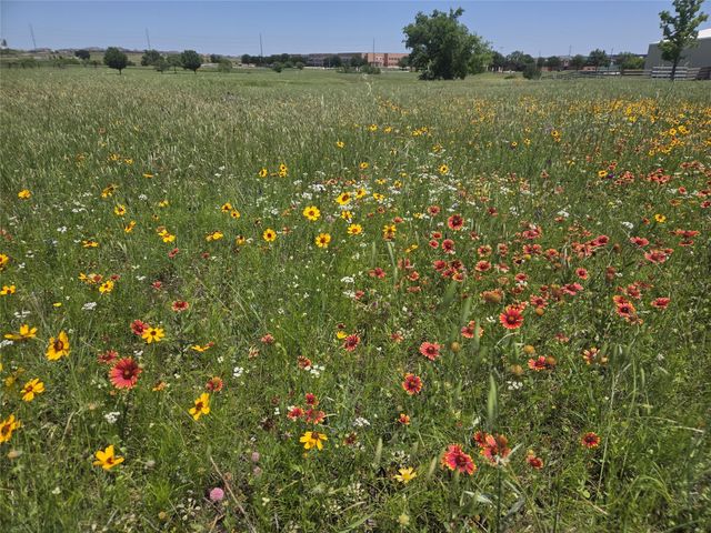 TBD Savanna Drive, Rhome, TX 76078