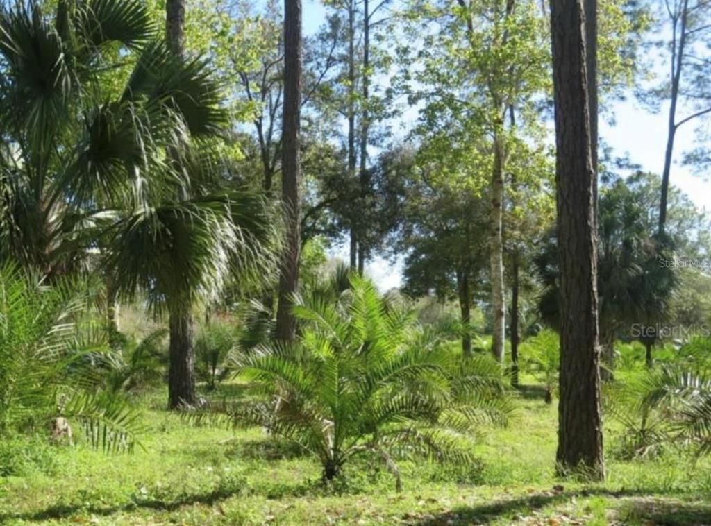 621 PARAKEET AVENUE AVENUE, Sebring, FL 33872