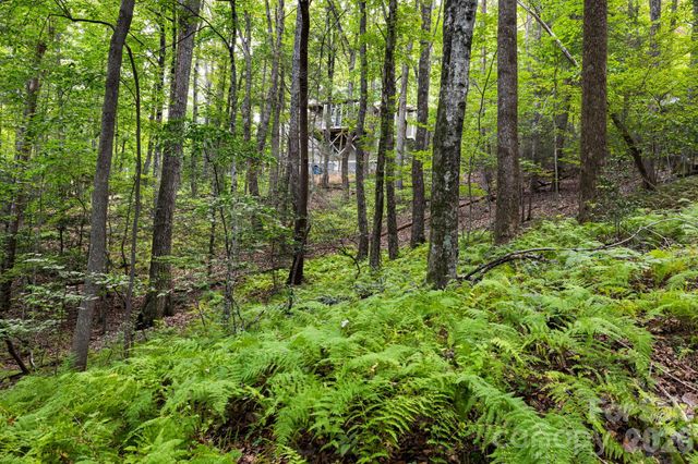 22 Wild Violet Lane, Arden, NC 28704