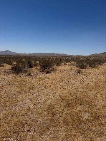 39 Leaping Lizard, Apple Valley, CA 92307