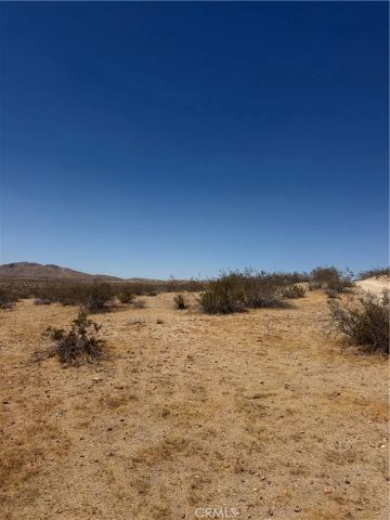39 Leaping Lizard, Apple Valley, CA 92307