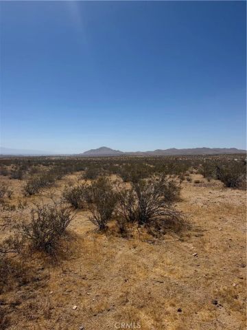 39 Leaping Lizard, Apple Valley, CA 92307