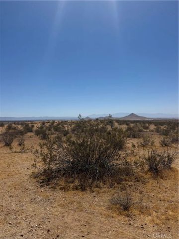 39 Leaping Lizard, Apple Valley, CA 92307
