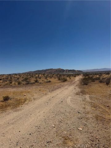 39 Leaping Lizard, Apple Valley, CA 92307