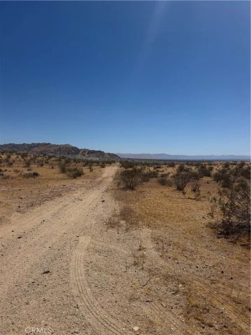 39 Leaping Lizard, Apple Valley, CA 92307