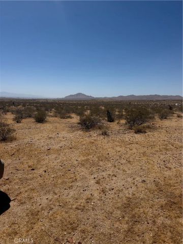 39 Leaping Lizard, Apple Valley, CA 92307