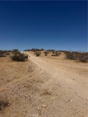 39 Leaping Lizard, Apple Valley, CA 92307