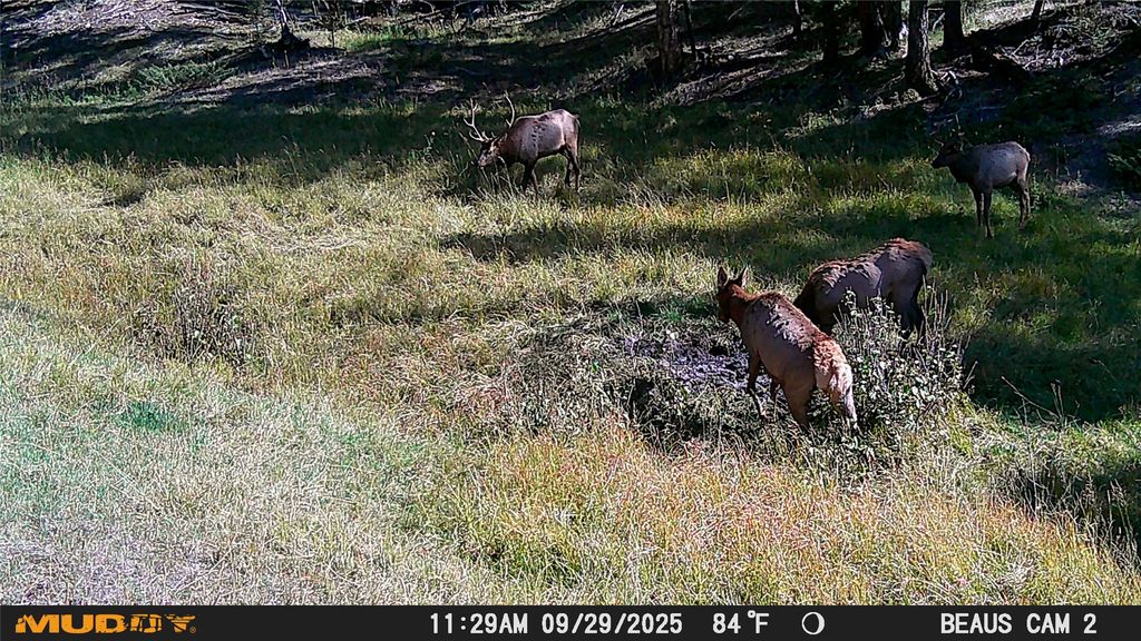 Lot 5 Ruby Mine Road, Butte, MT 59701 photo 15