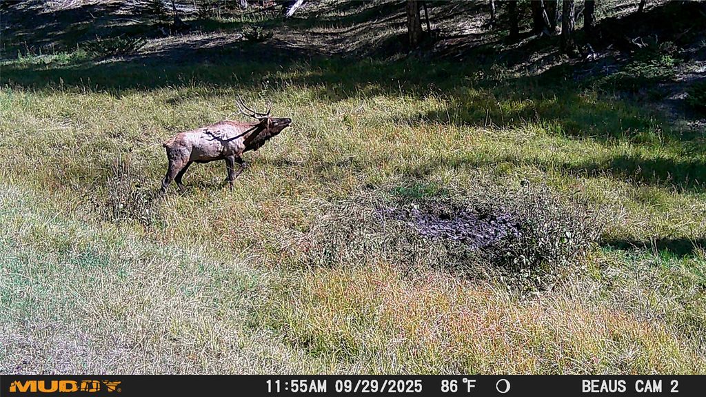 Lot 5 Ruby Mine Road, Butte, MT 59701 photo 16