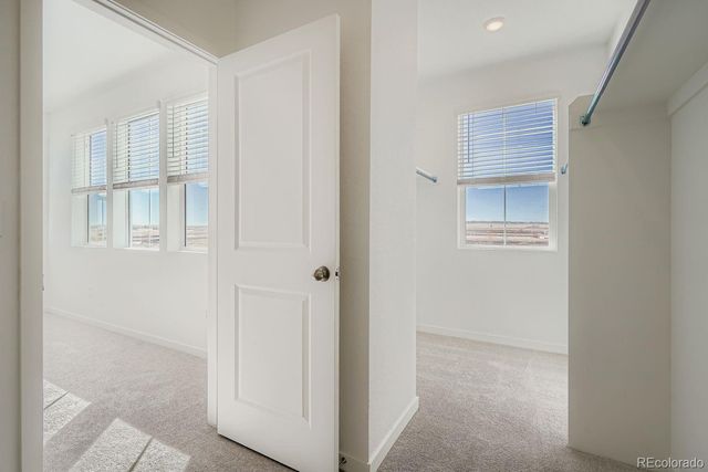 6779 Parterre Parkway N 5, Thornton, CO 80602