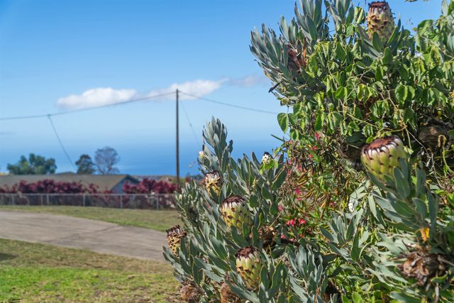 79 Lauie Dr, Kula, HI 96790