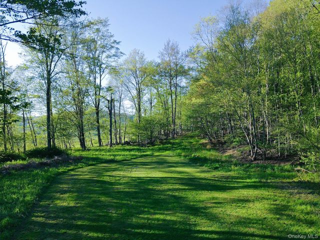 2220 Old Route 17, Roscoe, NY 12776