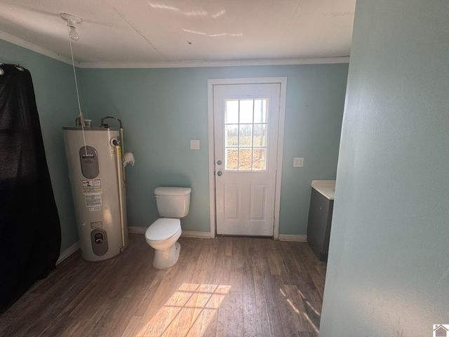 45 County Road 1103, Fancy Farm, KY 42039