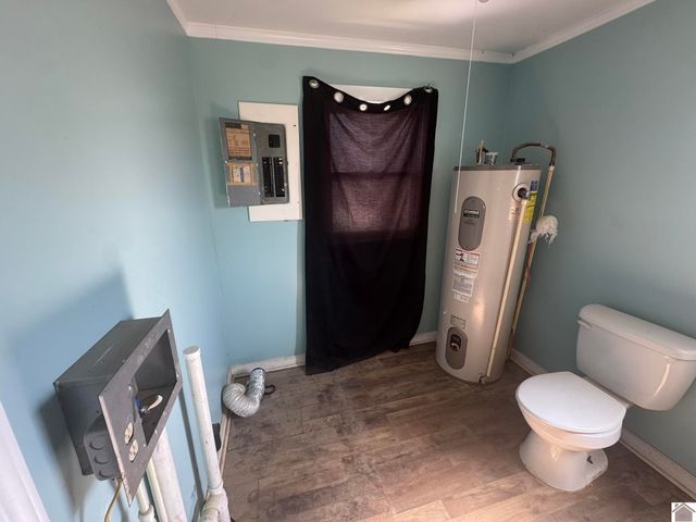 45 County Road 1103, Fancy Farm, KY 42039