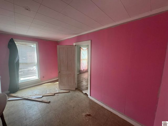 45 County Road 1103, Fancy Farm, KY 42039