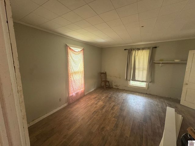 45 County Road 1103, Fancy Farm, KY 42039