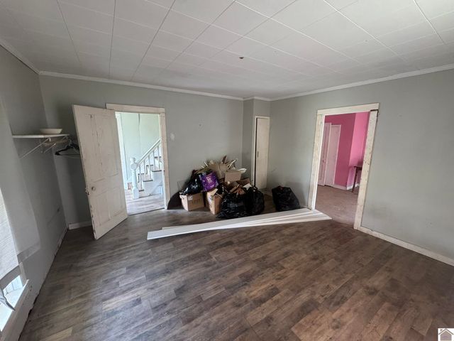 45 County Road 1103, Fancy Farm, KY 42039