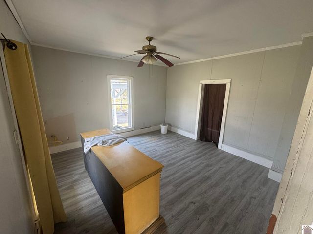 45 County Road 1103, Fancy Farm, KY 42039