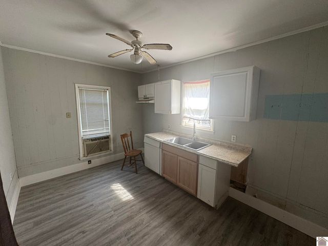 45 County Road 1103, Fancy Farm, KY 42039