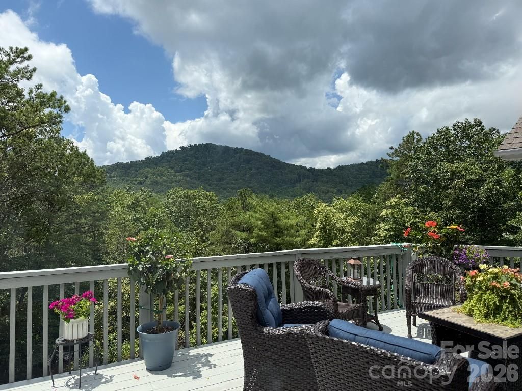 36 Lynx Drive, Black Mountain, NC 28711