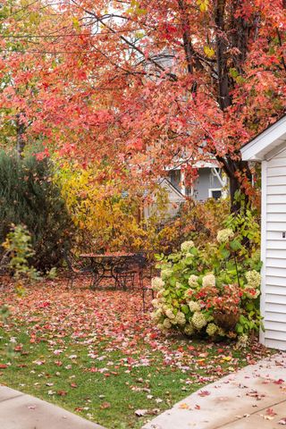 1915 Fremont Avenue S, Minneapolis, MN 55403