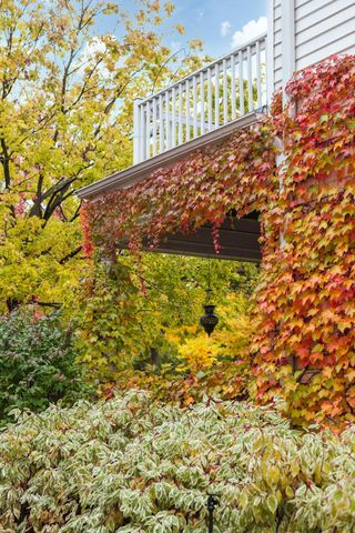 1915 Fremont Avenue S, Minneapolis, MN 55403