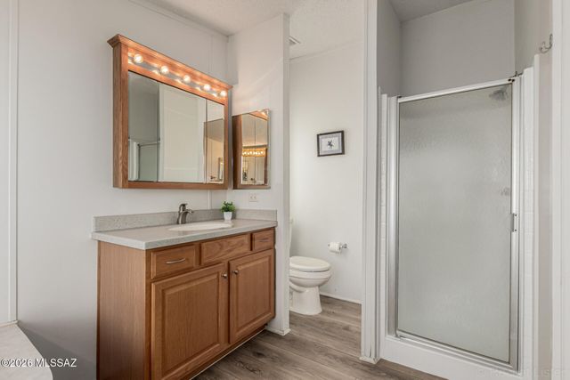 15805 S Avenida Haley, Sahuarita, AZ 85629