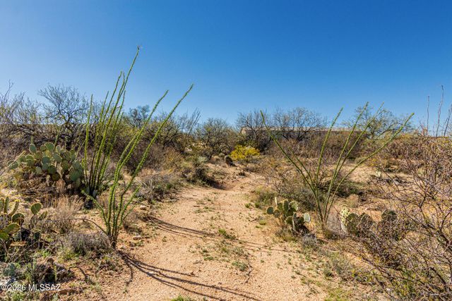 15805 S Avenida Haley, Sahuarita, AZ 85629