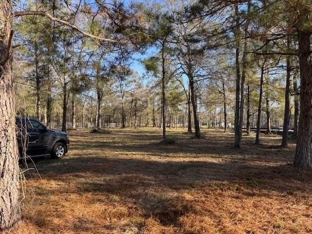 21240 Grant Lake Circle, Cleveland, TX 77328