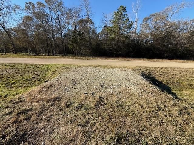 21240 Grant Lake Circle, Cleveland, TX 77328