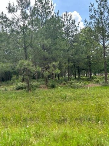 21240 Grant Lake Circle, Cleveland, TX 77328