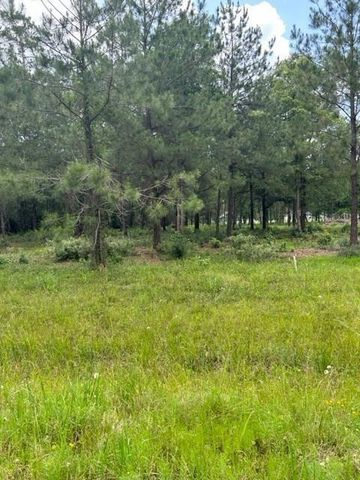 21240 Grant Lake Circle, Cleveland, TX 77328