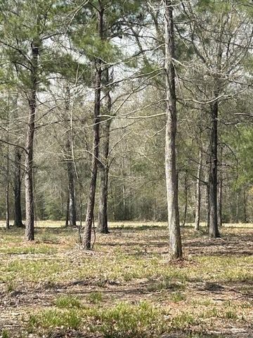 21240 Grant Lake Circle, Cleveland, TX 77328