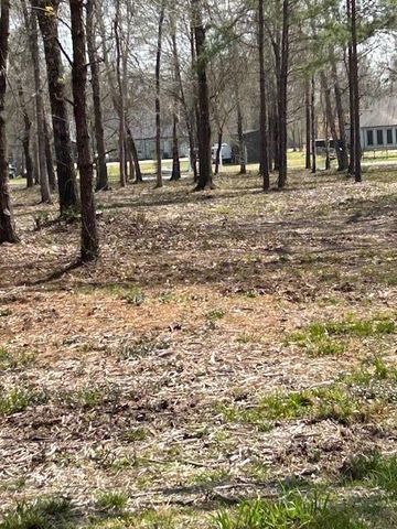 21240 Grant Lake Circle, Cleveland, TX 77328