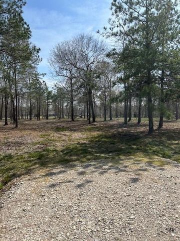 21240 Grant Lake Circle, Cleveland, TX 77328