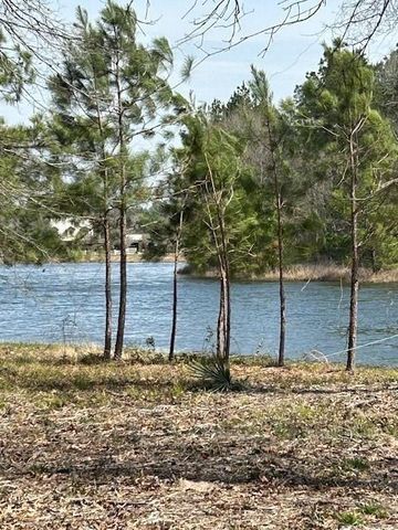 21240 Grant Lake Circle, Cleveland, TX 77328
