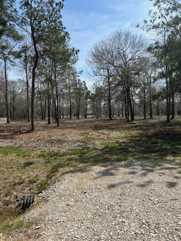 21240 Grant Lake Circle, Cleveland, TX 77328