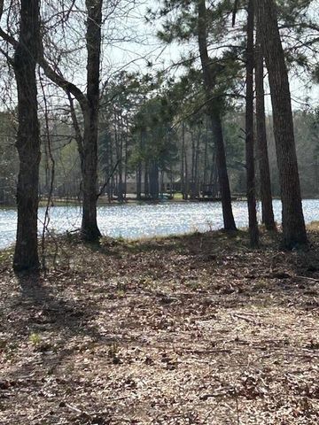 21240 Grant Lake Circle, Cleveland, TX 77328