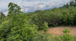 00 Albion Church Road, Mount Airy, NC 27030