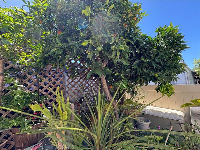 10771 Black Mountain Road 124, San Diego, CA 92126