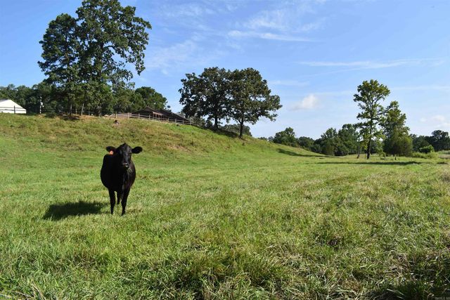 158 CLC Lane, Mena, AR 71953