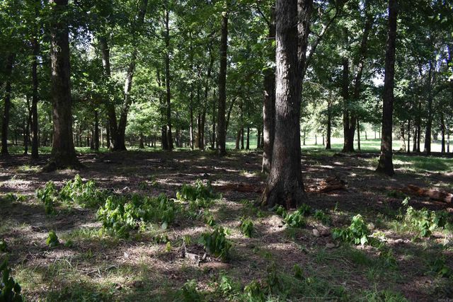 158 CLC Lane, Mena, AR 71953