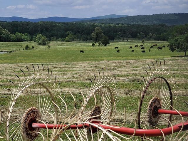 158 CLC Lane, Mena, AR 71953